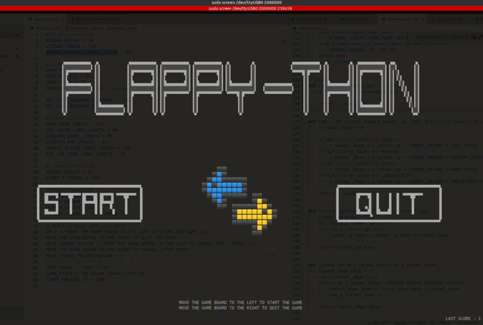 Flappy-Thon project